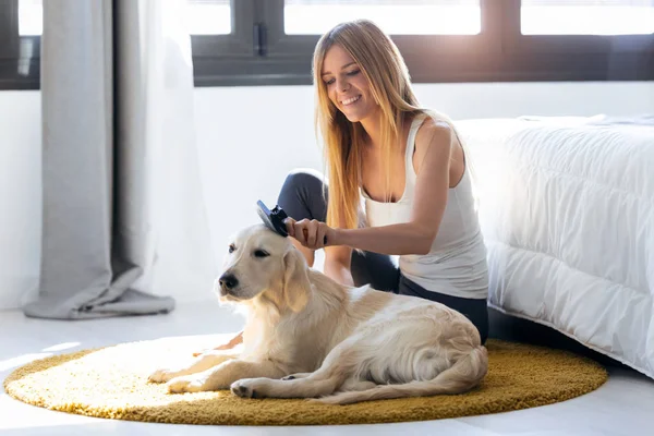 Wanita muda cantik menyikat rambut anjingnya sambil duduk di lantai di rumah . — Stok Foto