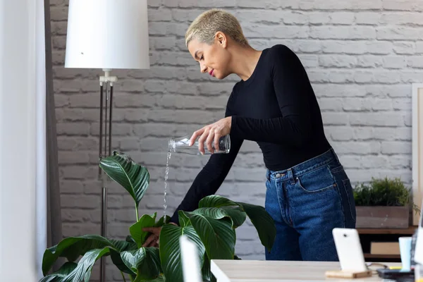 Современный молодой предприниматель женщина полива растений в офисе . — стоковое фото