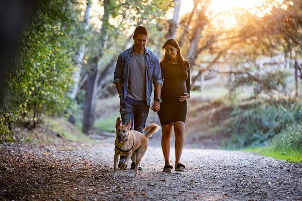 Feliz casal grávida olhando seu cão enquanto caminha no parque . — Fotografia de Stock