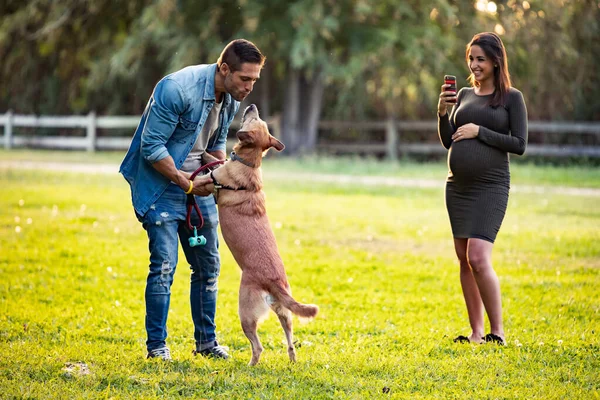 Mulher grávida bonita fazendo fotos com telefone celular de seu marido enquanto brincava com o cão no parque . — Fotografia de Stock