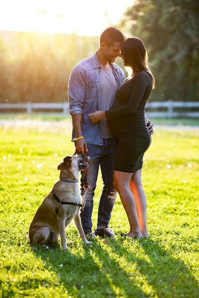 Jovem elegante casal grávida olhando um para o outro, enquanto seu cão olhando-os no parque . — Fotografia de Stock