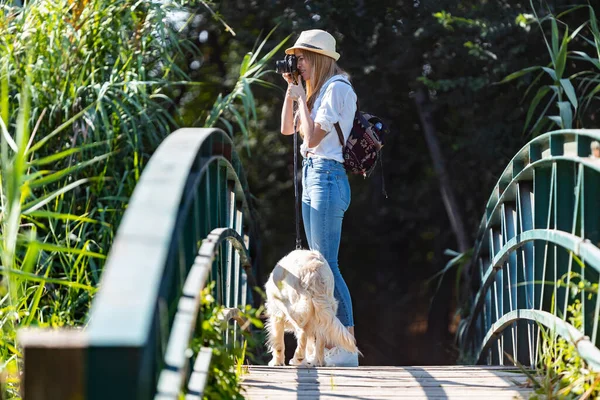 Tânără Fotografă Amatoare Fotografiază Peisajul Timp Plimbă Câinele Traversând Pod — Fotografie, imagine de stoc
