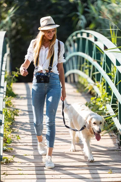 Ditembak Menarik Muda Amatir Wanita Foto Berjalan Dengan Anjingnya Menyeberang — Stok Foto