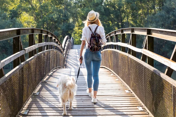 Skott Attraktiv Ung Amatör Fotografi Kvinna Promenader Med Sin Hund — Stockfoto