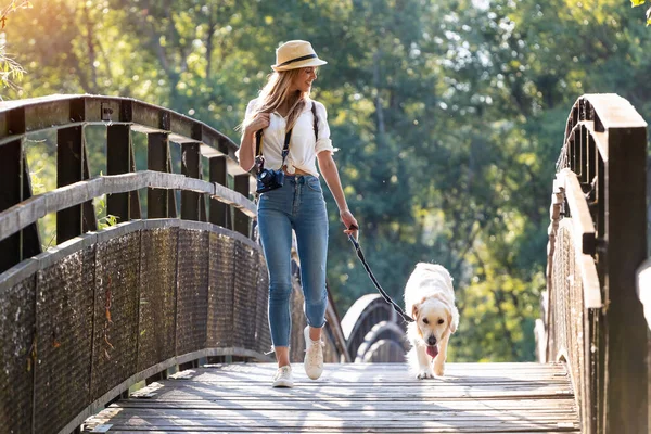 Çekici Genç Amatör Bir Kadının Köpeğiyle Birlikte Parkta Köprüden Geçerken — Stok fotoğraf