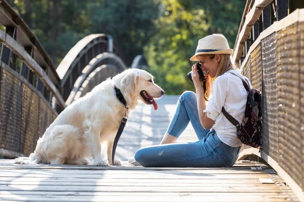 Shot Young Amateur Photowoman Taking Photo Her Dog Sit Bridge — Stok Foto