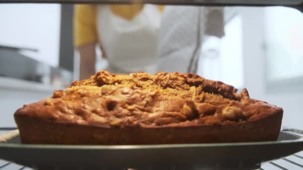 美丽的年轻营养师在家里厨房的烤箱里烹调健康胡萝卜蛋糕的视频 — 图库视频影像