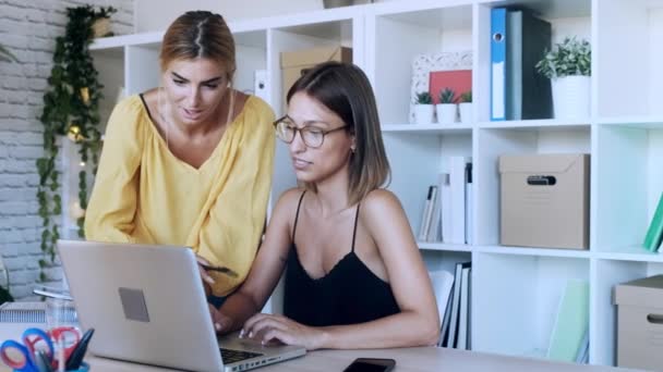 Vidéo Deux Belles Femmes Affaires Freelance Vendeur Vérifier Commande Produits — Video