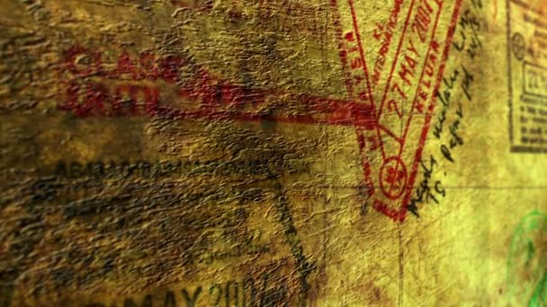 Pasaport Vize Karnesiyle — Stok video