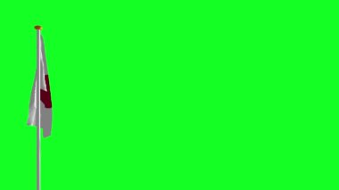 Rüzgarda sallayarak Japonya bayrağı