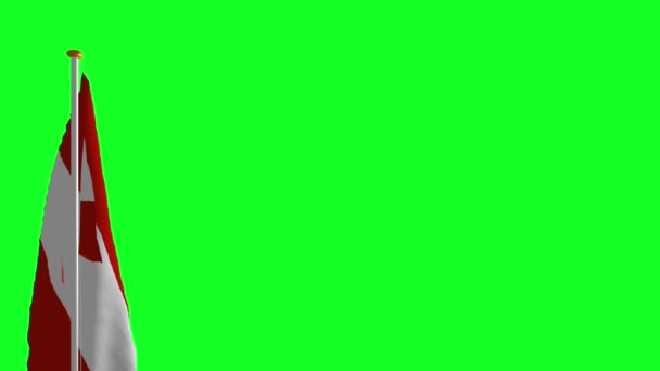 緑色の画面上のオーストリアの国旗 — ストック動画