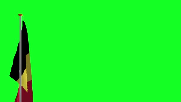 緑色の画面でベルギーの旗 — ストック動画