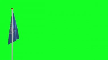 Yeşil ekran BM bayrağı