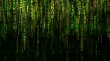 Kimlik avı metin matris stili