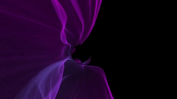 Abstract Digital Wave And Smoke tunnel Flow Background — Stock Video