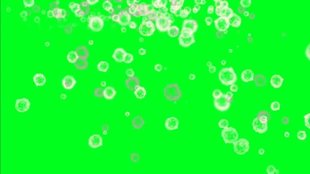 Virus Molecule in streaming sullo schermo verde — Video Stock