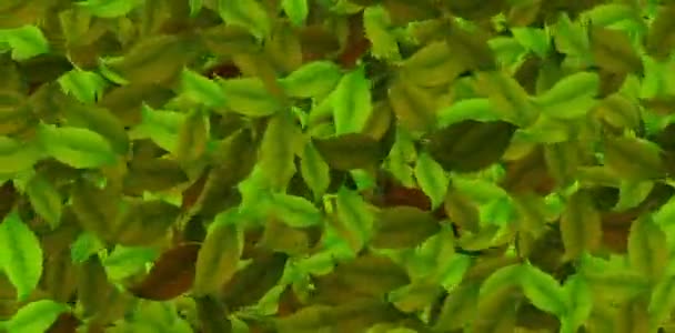 Beaucoup de feuilles zoom avant et arrière 