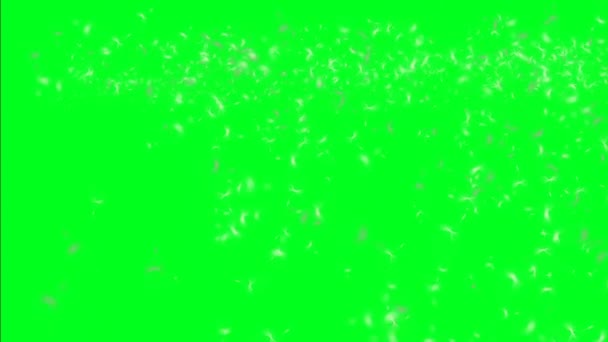 タンポポの種と緑色の画面上の雲 — ストック動画