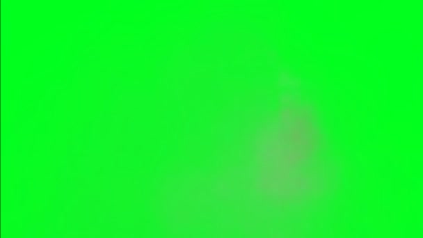 Wiatr Zielony Ekran Pali — Wideo stockowe