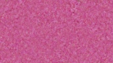 Pembe Grunge desen arka plan