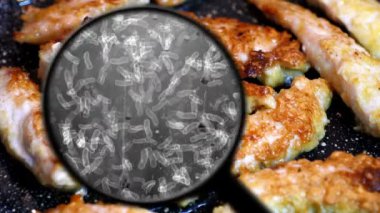 Tavuk etindeki bakteriler aranıyor