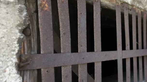 Prisión jaula barras Dolly disparó — Vídeo de stock
