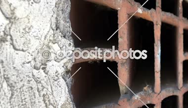 Dolly atış Grunge tuğla duvar