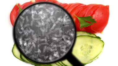 Sebzelerde bakteri aranıyor