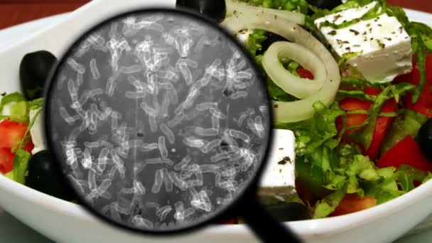 Пошук бактерій в овочах — стокове відео