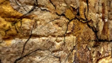 Kapat Og Grunge Arka plan Dolly Vuruşu