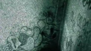 Terk House TV statik gürültü Abandon Into girin