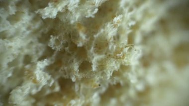 Ekmek Yüzeyi Extreme Close Up