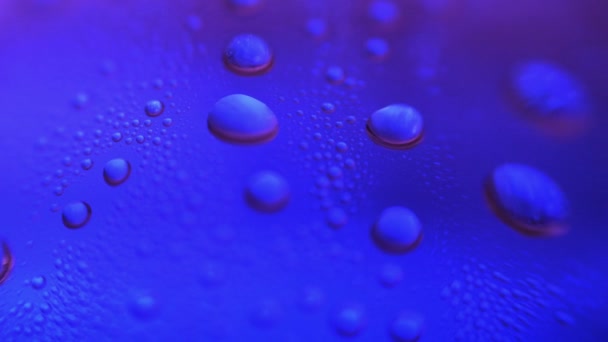 Close up of Natural Water Drops On Glass background — Stock Video