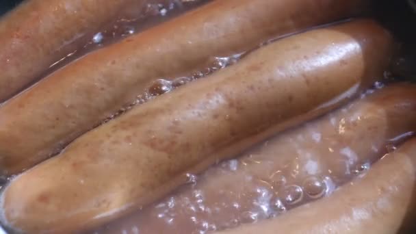 Boiling Sausages On Stove macro shot — Stock Video