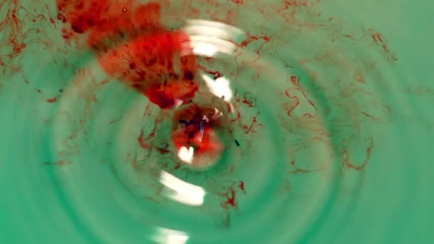 Bloddroppar som flyter i vatten — Stockvideo
