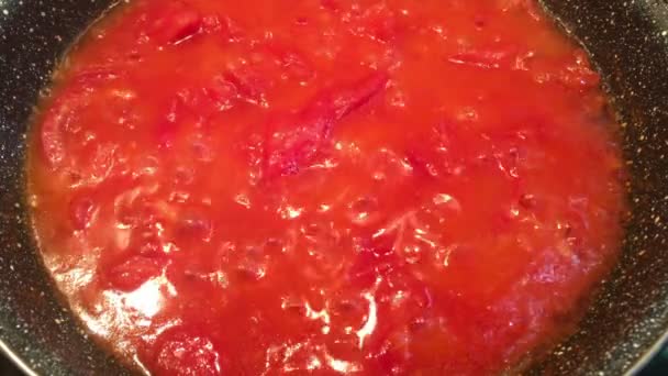 Vaření rajčatová salsa zblízka — Stock video