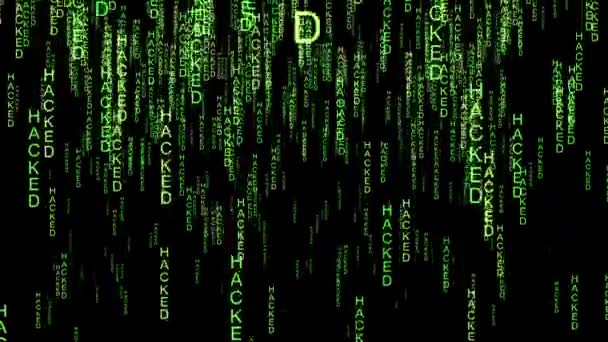 Conceito de matriz de código online de dados hackeado — Vídeo de Stock