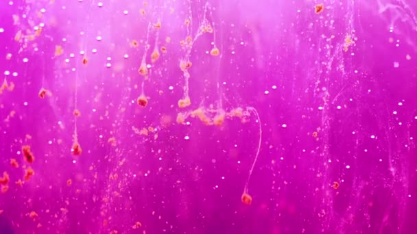 Pink particles floating — Stock Video