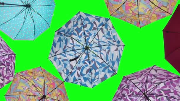 Parapluies colorés sur écran vert — Video