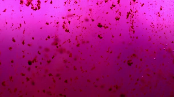 Pink particles floating — Stock Video