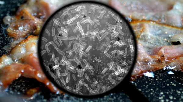 Поиск Бактерий Мясе Барбекю — стоковое фото