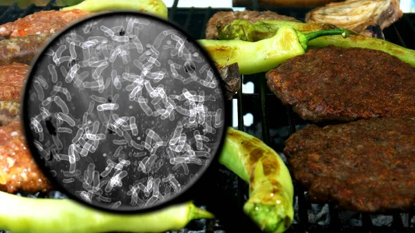 Búsqueda Bacterias Carne Barbacoa —  Fotos de Stock