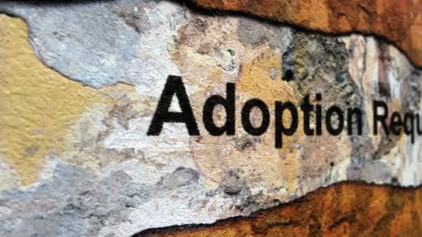 Demande d'adoption concept grunge — Video