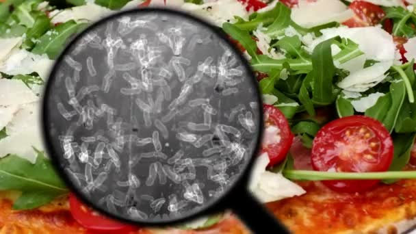 Búsqueda de bacterias en ensalada — Vídeo de stock