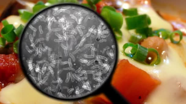 Búsqueda de bacterias en la comida — Vídeo de stock