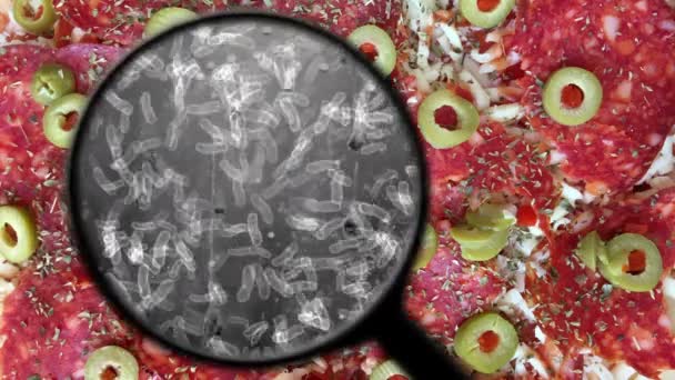 Поиск бактерий в пище — стоковое видео