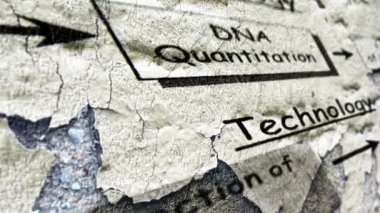 DNA tekolojisi grunge kavramı