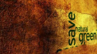 Ekoloji grunge kavramı