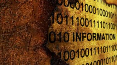 Bilgi grunge kavramı