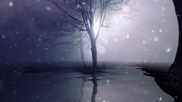Сніг у туманних деревах, відображених у воді — стокове відео